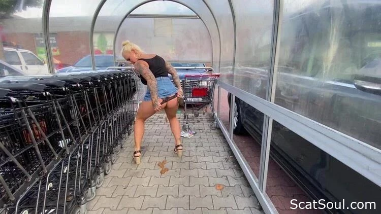 Ultimate Al Fresco Excretion In Shopping Carts And Sordid Desire - Devil Sophie