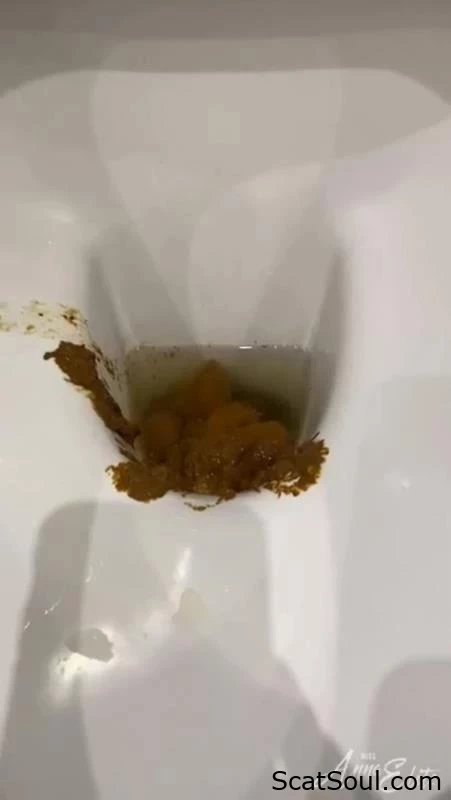 A Redundancy Of Shit In The Lavatory. P1