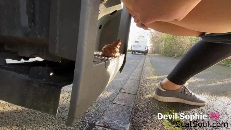 My Goodness! How Did Feces Get On The Truck Step? - Devil Sophie