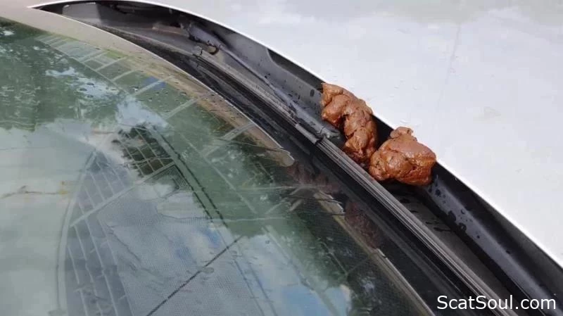 Open-Air Stool And Urine On An Automobile With Versauteschnukkis