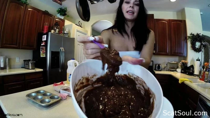 Moist Chocolate Squares Of Poop - Pooalexa